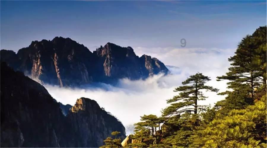农工党青海省委会建言“生态大省”如何将绿水青山转化为金山银山
