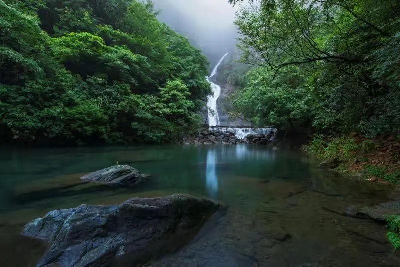 拯救穆尔小马